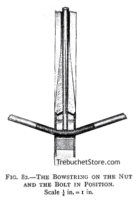 The Bowstring on the Nut and the Bolt in Position on the Crossbow.