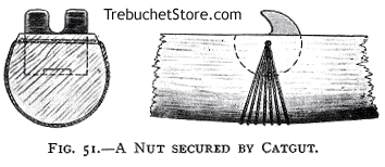 A Crossbow Nut Secured by Catgut.