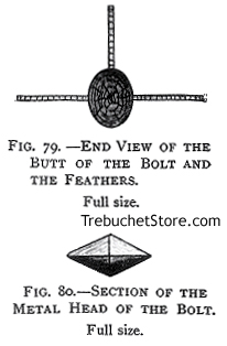 End View of the Butt of the Bolt and Feathers and a Section of the Metal Head of the Crossbow Bolt.